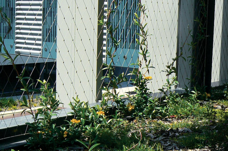 Fiona Stanley Hospital Rooftop Gardens preview 3